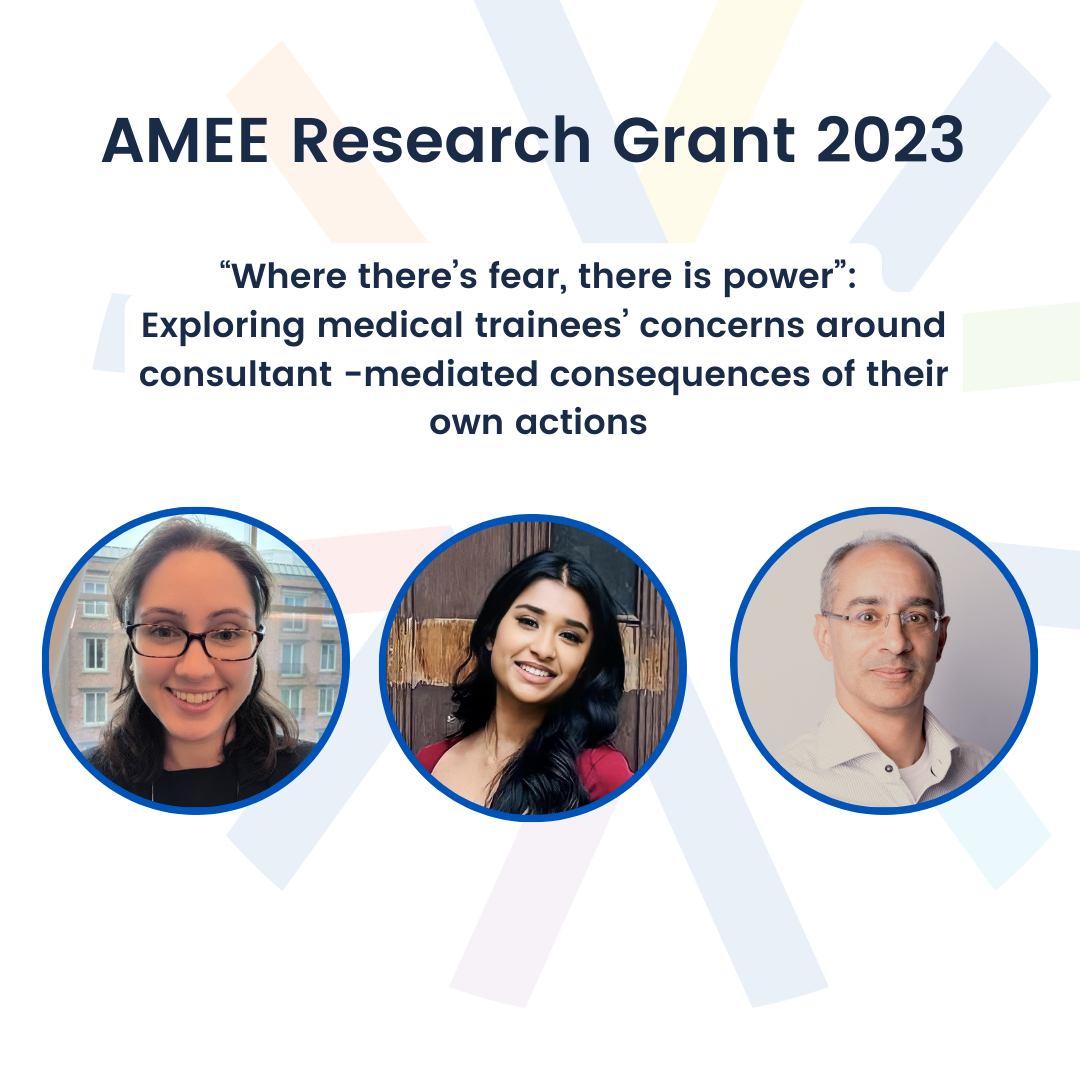 Announcing the Winners of the AMEE Research Grant 2023